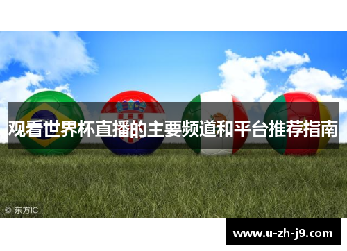 观看世界杯直播的主要频道和平台推荐指南