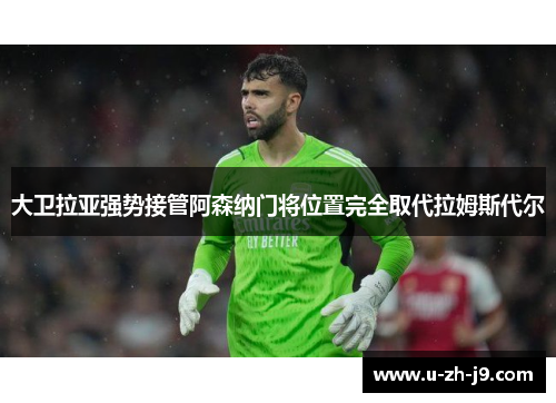 大卫拉亚强势接管阿森纳门将位置完全取代拉姆斯代尔 大卫拉亚强势接管阿森纳门将位置完全取代拉姆斯代尔